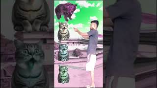 Bear Vs dear to cat Vfx funny magical video 2024 #viral #trending #vfx #shortvideo #comedy #short