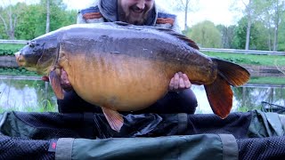 18kg+ KANAAL spiegel en 10 KARPERS op vereniging