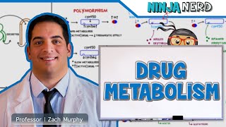 Pharmacokinetics | Drug Metabolism