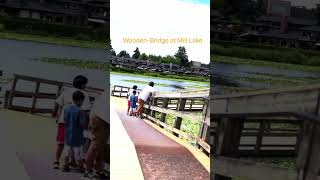 Wooden-Bridge at Mill Lake, Abbotsford. BC #shorts #shortvideo #travel #tourism #bridge