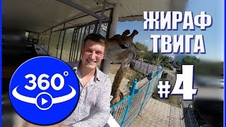 Жираф в Актобе. Мини-зоопарк ТЦ "Нурдаулет". Видео 360 градусов.