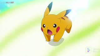 Pikachu derrota a Cradily