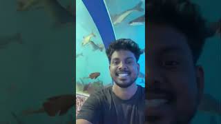 Chennai ல underwater Aquarium ஆ ⁉️என்னடா இது வேர level💯🔥#aquarium #chennai #underwater ater#shorts