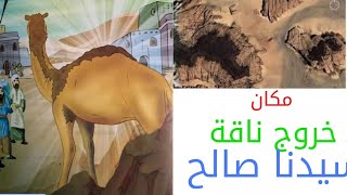 قصة سيدنا صالح وقوم ثمود