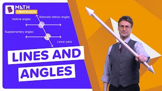 Angles Formed by Parallel lines Cut by a Transversal (Fun Explanation by Professor) | Middle School