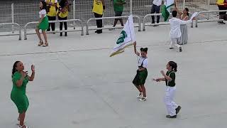 Ensaio técnico Camisa Verde e Branco 2024 (primeiro Ensaio)