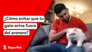 Cómo evitar que tu gato orine fuera del arenero