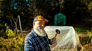 Getting the garden and homestead ready for a freeze