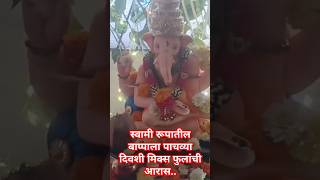 🚩स्वामी गणेशाला मिक्स फुलांची आरास.. #swami #ganpati #shorts #viralshort #trending #ganesh #akkalkot