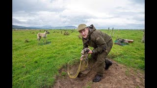 Lecture 94: A History of rabbits in the North West of Ireland by Stephen McGonigal