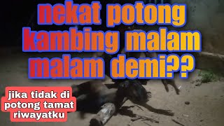 Nekat!!sembelih kambing di malam hari teringat hutang Nazar