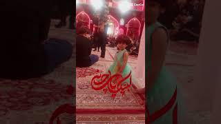 Imam Hussain shrine Arbaean 2024 #karbala #waqiaekarbala #live #arbaeen #2024