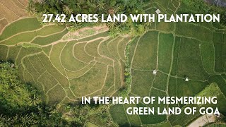 27.42 Acres land with Plantation | In the Heart of Mesmerizing Green Land of Goa