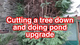 pond upgrade removed a huge tree part 4