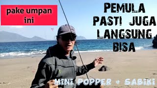 Jurus Ampuh Mancing Pinggiran Pantai dengan Popper Sabiki