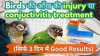 birds eye infection treatment|Conjunctivitis |Parrots eye infection medicine| #birdcare #pets