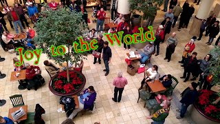 Flash Mob - Joy to the World