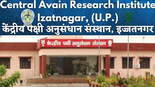 Central Avian Research Institute, Izzatnagar, Bareilly  कुक्कुट पालन प्रशिक्षण केंद्र बरेली, Poultry