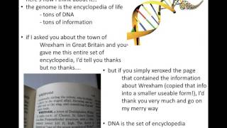 Lecture 14 - The Central Dogma