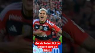 Gol de Pedro!gol de empate na copa do Brasil!#futebol #shorts #flamengo #pedro #mengão