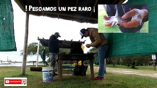 🎣PESCA en un camping - Mucha lluvia y frío🌧️🌧️