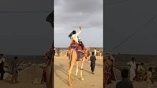 Desert child rode around on the camel #camel #desertvillage #shots #viralvideo #shortsfeed #desert