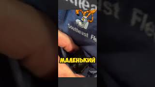 Собака в кармане?🐕