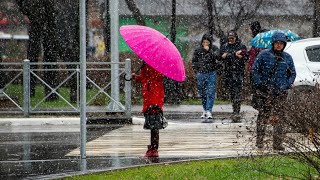 The Hatters - cover Дожди 👍🌧