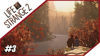 Tutti in CAMPEGGIO!  - LIFE IS STRANGE 2 ITA! [Ep 3]