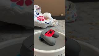 3D printed Nintendo Controler Stand