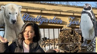 Polar Bear🐻‍❄️, Penguins🐧, etc in Stadtgarten German 🇩🇪 Zoo | Karlsruhe | Tamil Vlog