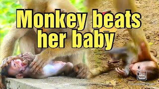 Poor baby monkey was abused by mother monkey | poor monkey baby |