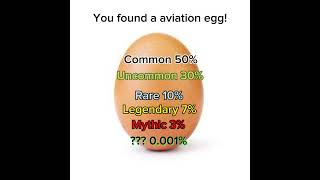 You found a mystery aviation egg! #aviation