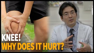 Knee, Why does it hurt?