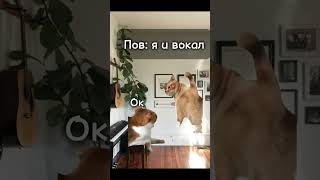 Пов: я и вокал #youtube #подписки #рекомендации #polly_k #кисы