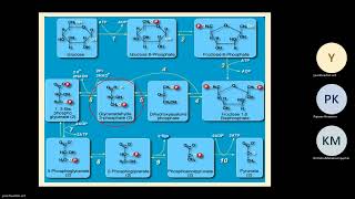 biochem 27 August BE 2567