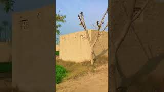 Pure Mudd house in my village|vella munda village wala.