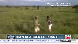 Man charges elephant, loses His  job