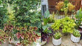 Trimming Annuals 🌺🌿//Fertilizing 🚿// Planting and Brick Edging🌱