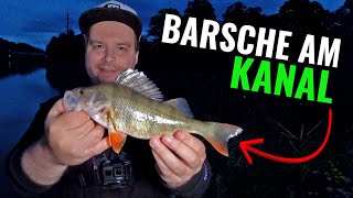 Angeln am Kanal - Dropshot, Jiggen, flexibel bleiben! || Barschangeln || Pantoffel angelt