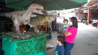 Dino-Dinossauros, Tiranossauro e Velociraptor🦖🦖🦖🦖🦖🦖🦖🦖🦕🦕🦕🦕🦕🦕🦕🦖🦖🦖🦖🦖🦖🦖🦖🦖🦖🦕🦕🦕🦕🦖🦖🦖🦖