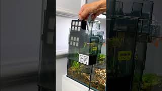 Review lọc treo hồ cá có hút váng xoay tít #cacanh77 #aquarium #lọchồcá #nuoica #filteraquarium