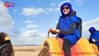 Camel ride in Marrakech 🐪🐪🐪#marrakech_morocco #youtubeshorts