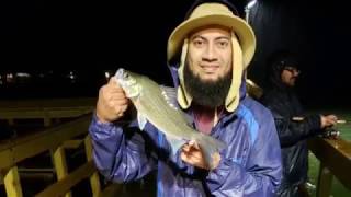 Stripe Bass Fishing Inks Lake and Colorado River