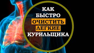 Это нужно знать! Продукты которые помогут ОЧИСТИТЬ ЛЕГКИЕ от никотина и вредных веществ