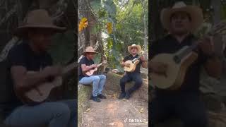 Escuchen esta con la Bandola Llanera durante Semana Santa en Achaguas, Apure