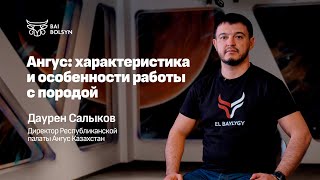 Содержание Ангусов: цены, советы фермерам, опыт США и Казахстана — Даурен Салыков | EL BAYLYGY