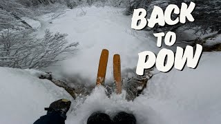 Hectic powder chase at Zauchensee