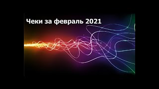 Чеки партнёров Platform за февраль 2021