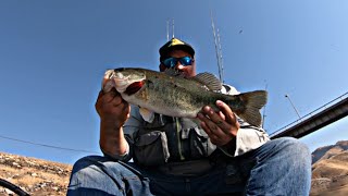 Fishing Previously Out Of Water Structure at Lake Kaweah, CA